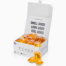 Load image into Gallery viewer, Laundry Sauce | Siberian Pine Scent